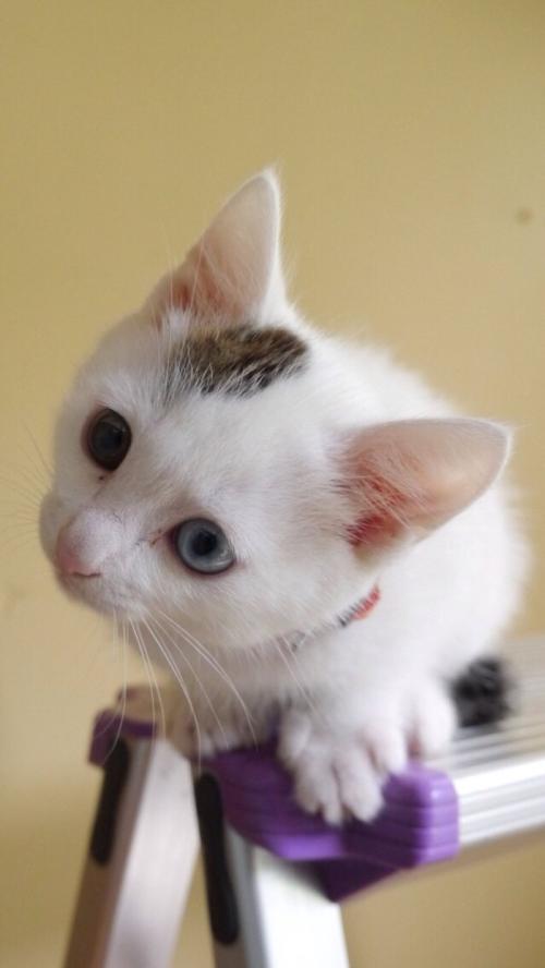 ܹģ2000ԪйҵĻ仧Ϻ